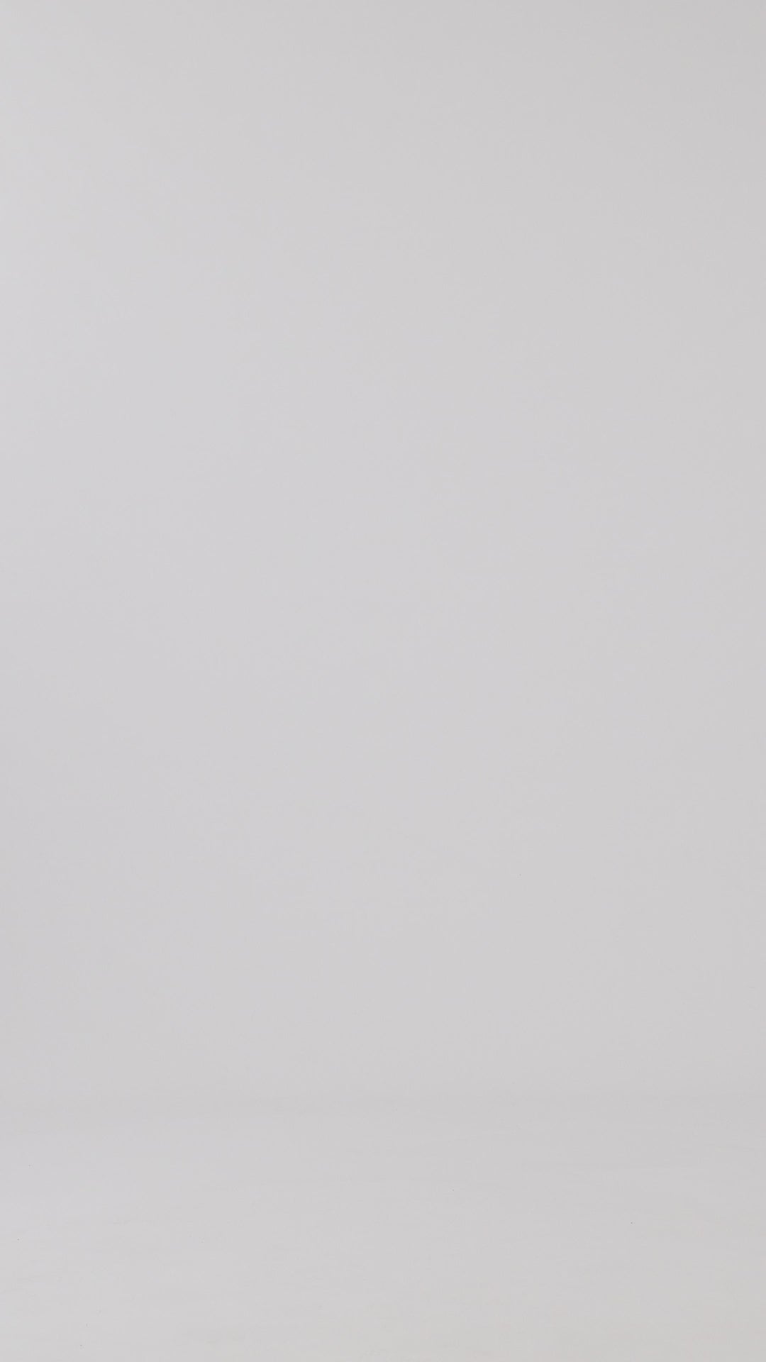 Elm - Society Short Sleeve Tee - White - Womens Fashion